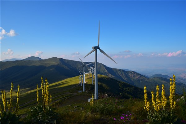 Άρνηση της Περιφέρειας ΑΜΘ για την εγκατάσταση ανεμογεννητριών στο Εθνικό Πάρκο της Δαδιάς