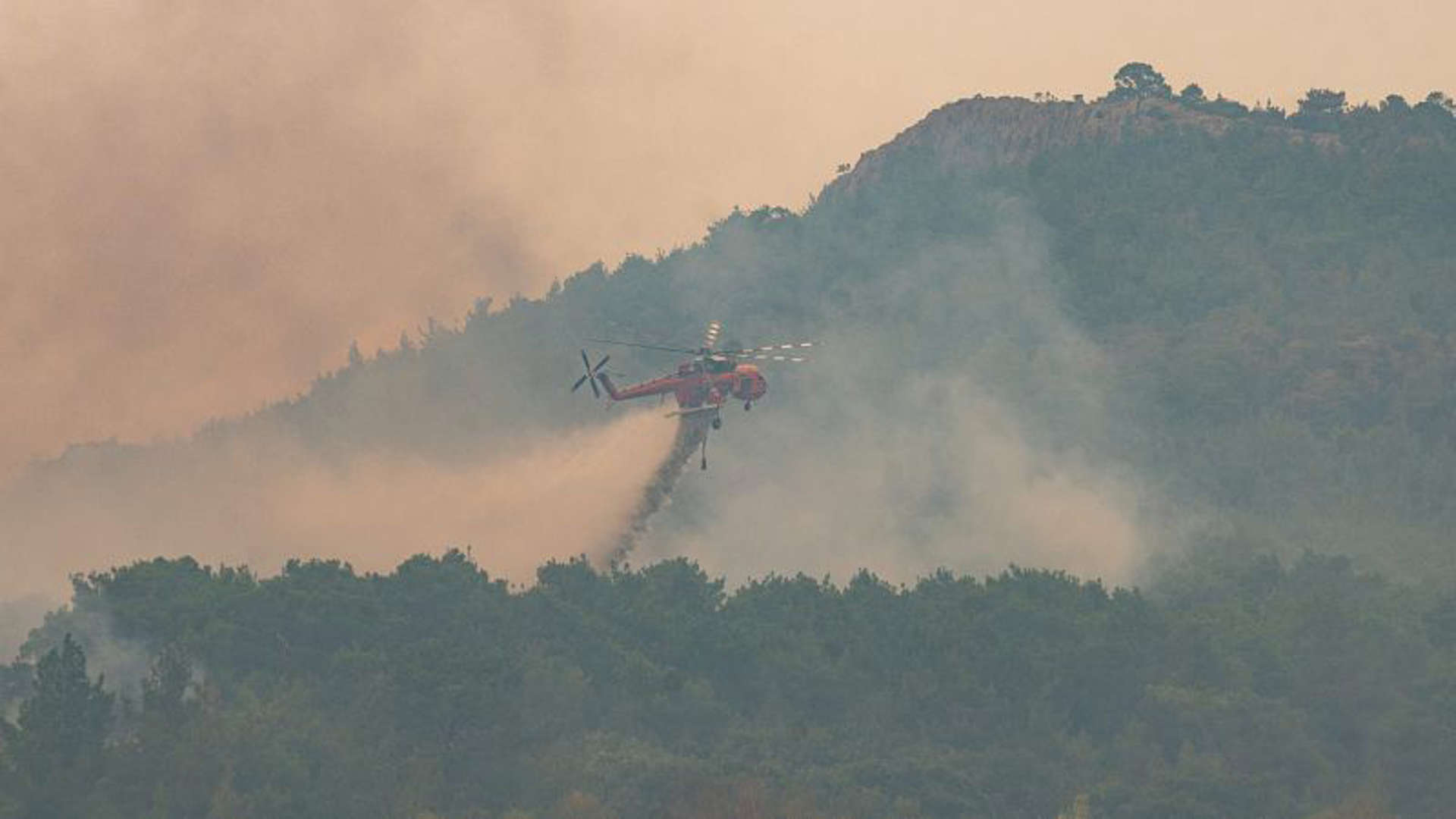 Απανθρακωμένοι βρέθηκαν 18 μετανάστες κοντά στο δάσος της Δαδιάς