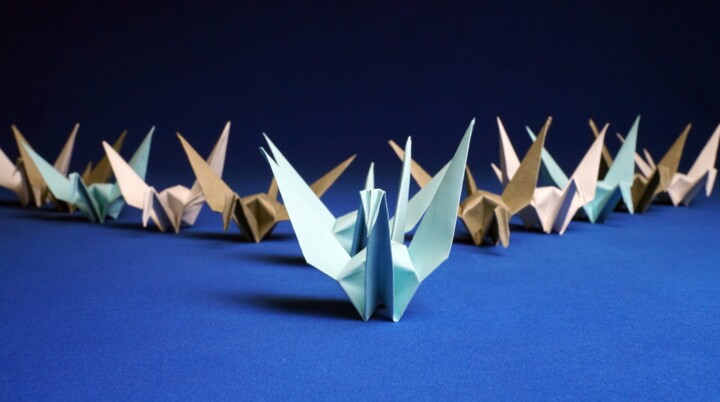 Έβρος: Έρχεται το  “Origami workshop» στο Σουφλί!