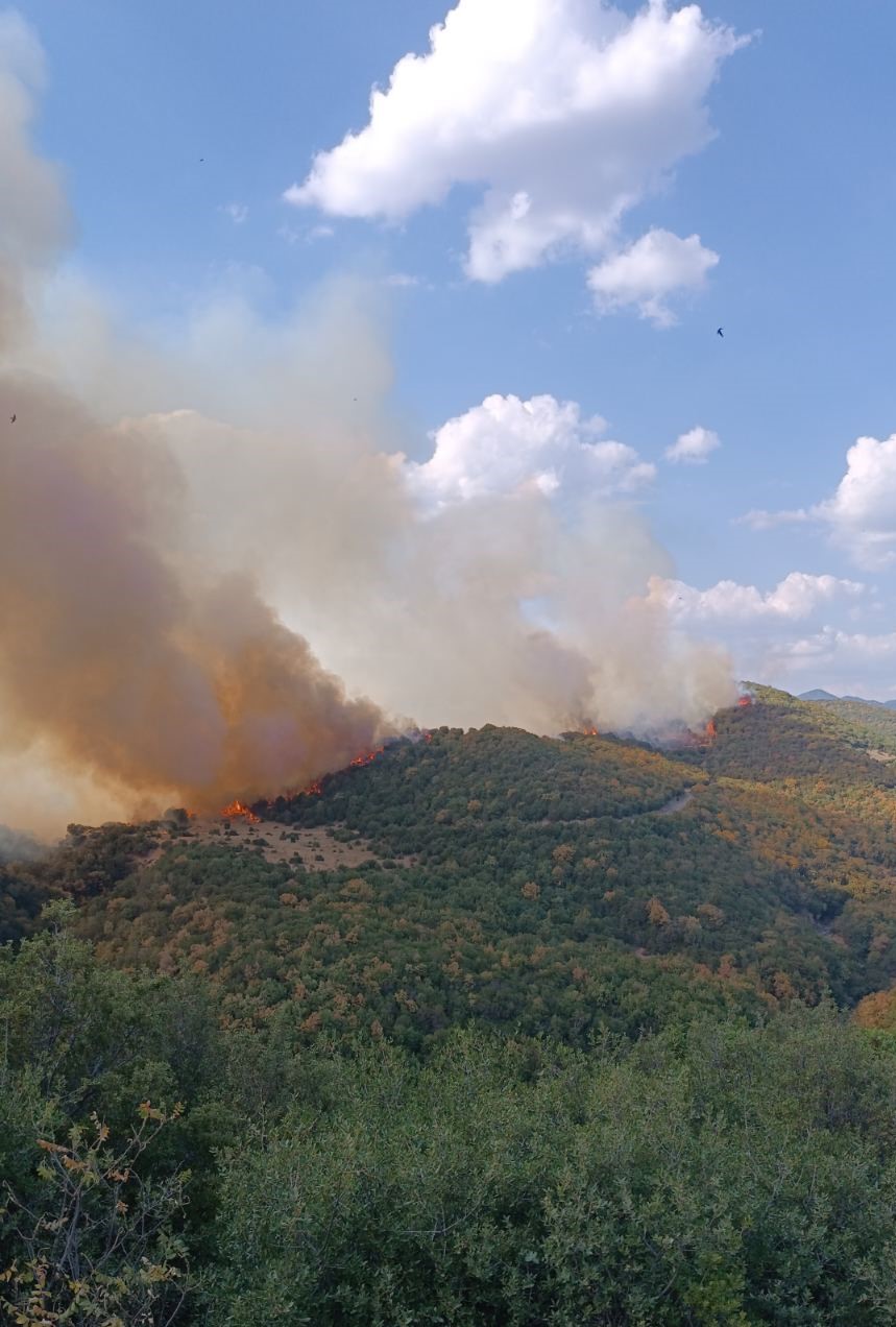 Αναζωπύρωση της φωτιάς στη Γρατινή