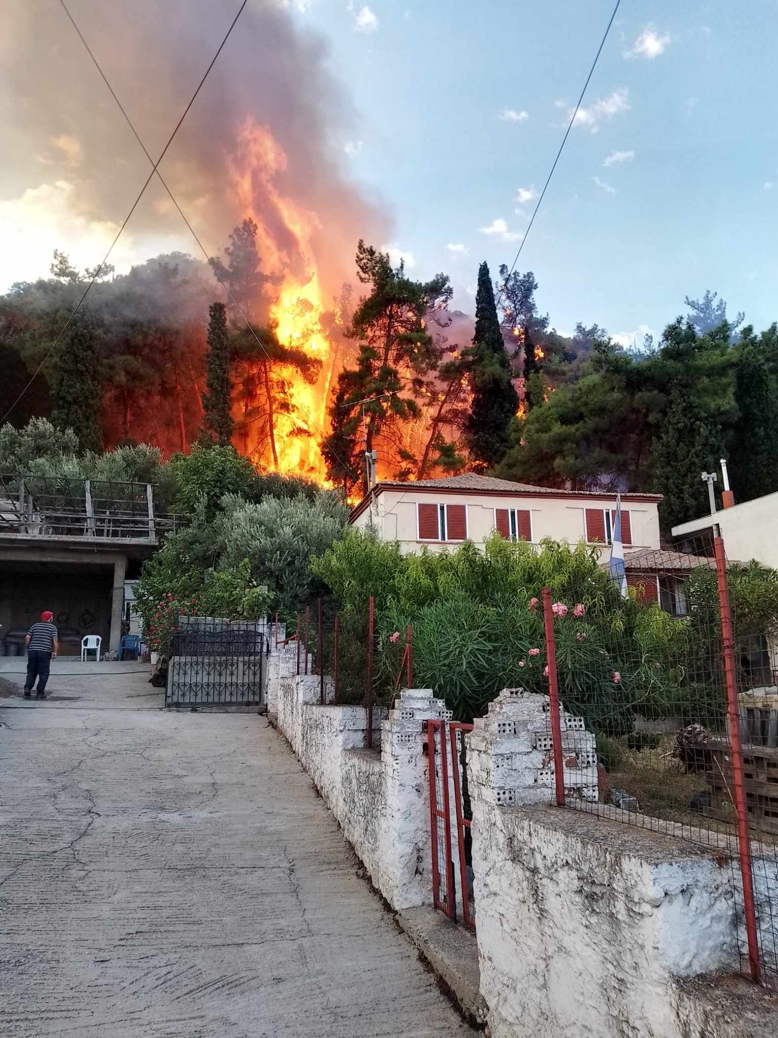 Πυρκαγιά σε δασική έκταση στον Ίασμο Ροδόπης