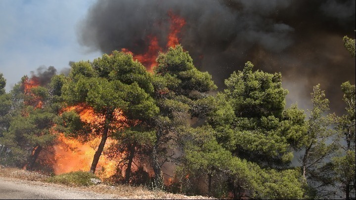 Ροδόπη: Έσβησε η πυρκαγιά που εκδηλώθηκε σε δασική έκταση