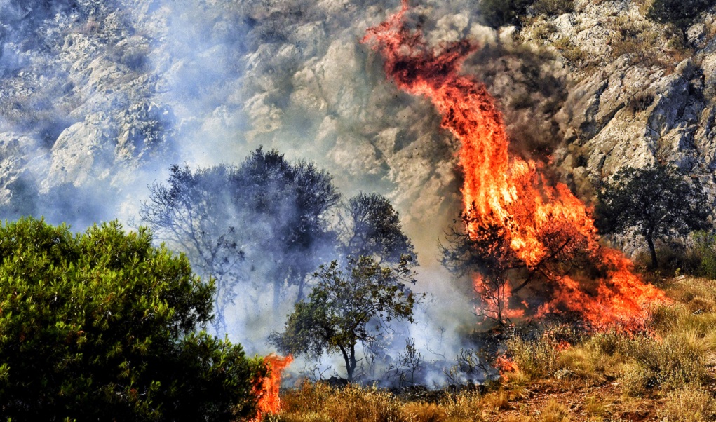 Να κηρυχθεί η Περιφέρεια ΑΜ-Θ σε κατάσταση έκτακτης ανάγκης ζητούν αγρότες και κτηνοτρόφοι (video)