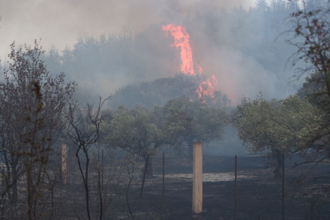 Πυροσβεστική Υπηρεσία: 34 πυρκαγιές σε όλη την χώρα το τελευταίο 24ωρο