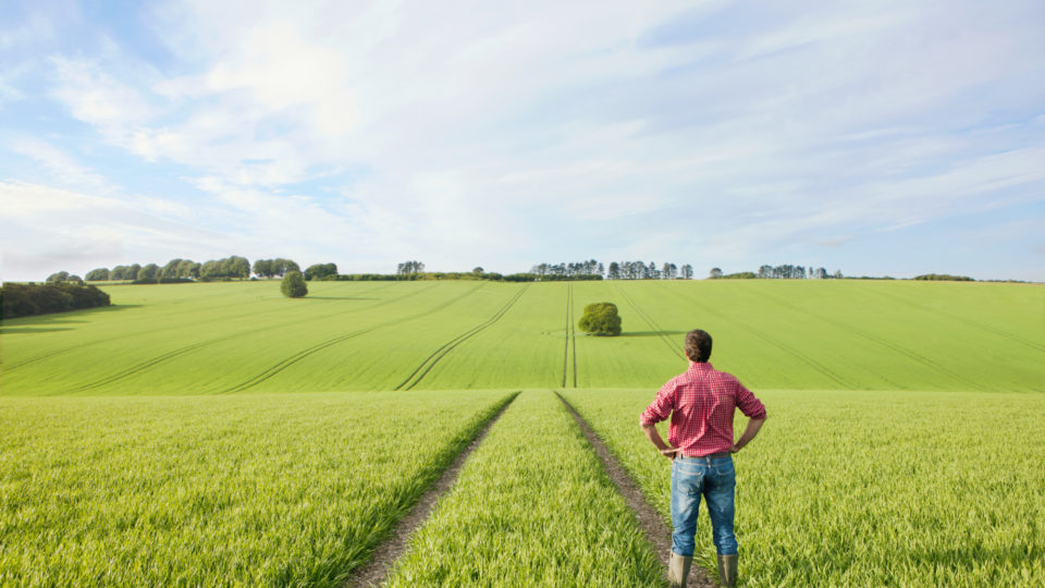 European Organic Awards 2023: To πρώτο βραβείο “Ευρωπαίου Αγρότη βιολογικών Προϊόντων” απονεμήθηκε σε Έλληνα