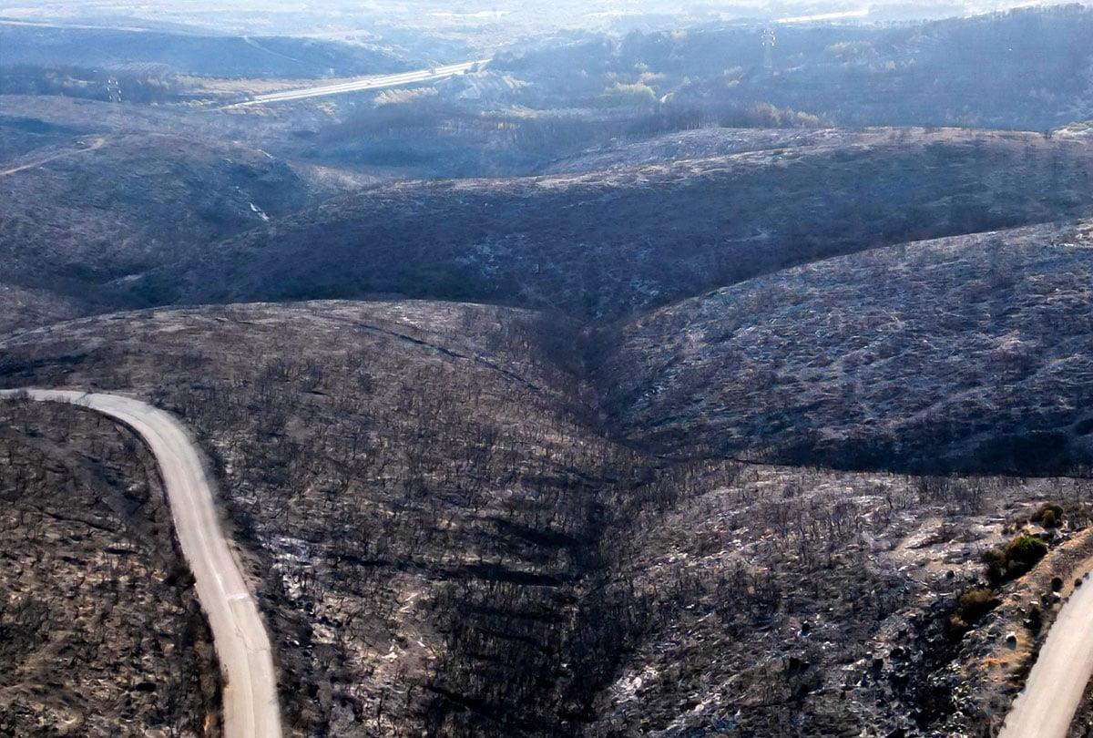 Πρωτοβουλία για την μεταπυρική αποκατάσταση του δάσους της Δαδιάς αναλαμβάνει το Τμήμα Δασολογίας, Διαχείρισης Περιβάλλοντος & Φυσικών Πόρων του ΔΠΘ στην Ορεστιάδα