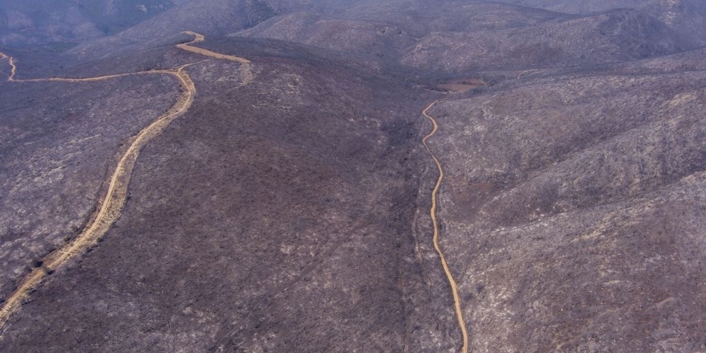 Απάντηση της Ορνιθολογικής Εταιρίας  στο Δ.Τ. της Αποκεντρωμένης Διοίκησης Μακεδονίας-Θράκης για την εκμετάλλευση των καμμένων στον Έβρο