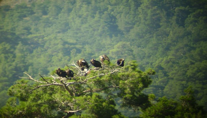 Δαδιά: Έρχεται η  3η Συνεδρίαση της Ειδικής Επιτροπής για την ανασυγκρότηση του Έβρου