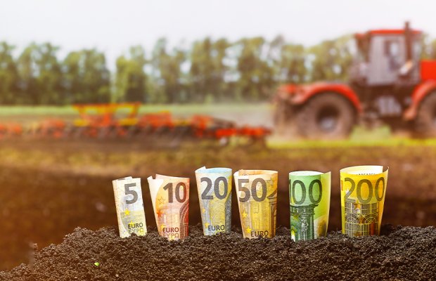Αγροτικά: Πότε θα πληρωθούν τα ποσά των συνδεδεμένων-Ενδεικτικές τιμές