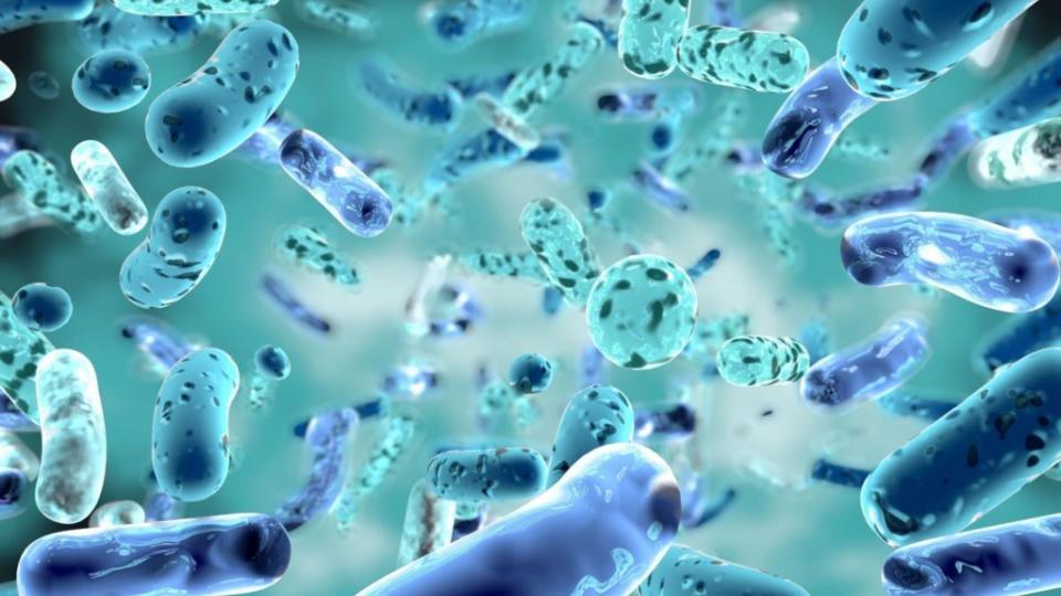 Ποια πολύτιμα βακτήρια  τονώνουν το ανοσοποιητικό και μας προστατεύουν από τον καρκίνο