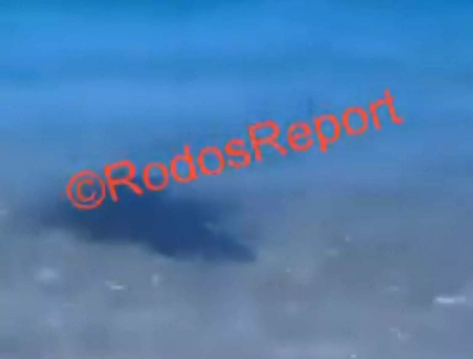 Ρόδος: Καρχαριοειδές εντοπίστηκε στα ρηχά παραλίας στο Χαράκι
