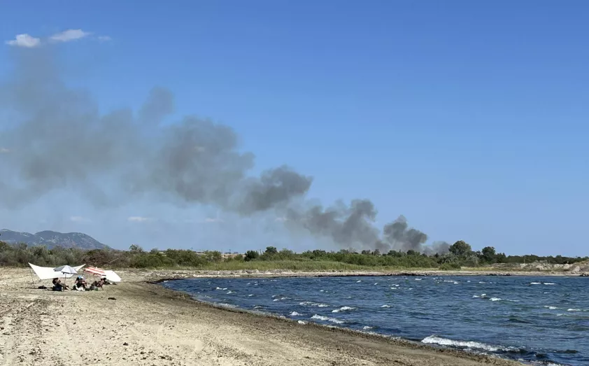 Φωτιά σημειώθηκε στην παραθαλάσσια περιοχή του  Προφήτη Ηλία Ροδόπης