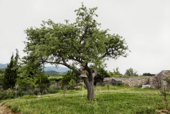 ΕΓΚΥΚΛΙΟΣ 109ῃ Θέμα: «Προστασία Φυσικοῦ Περιβάλλοντος κατά τὸ θέρος»