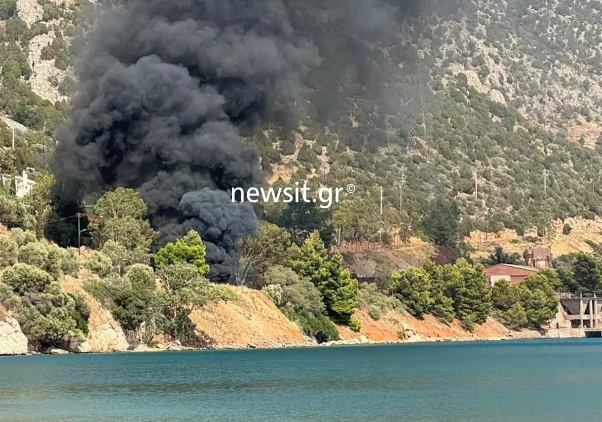 Βοιωτία: Νεκρός οδηγός φορτηγού που έπεσε σε γκρεμό και έπιασε φωτιά