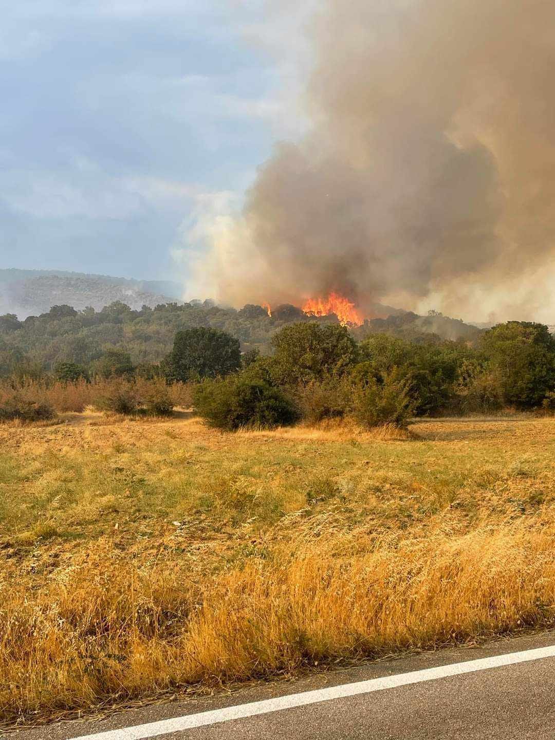 Πυροσβεστική Υπηρεσία: 60 αγροτοδασικές πυρκαγιές το τελευταίο 24ωρο σε όλη τη χώρα