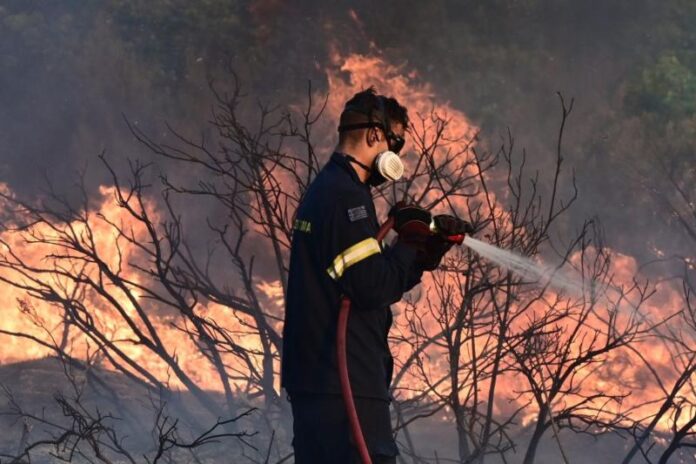 Μήνυμα του Πανθρακικού για τις φονικές πυρκαγιές στην Αττική: «Πέρυσι δοκιμάστηκε η Θράκη, γνωρίζουμε τα συναισθήματα και το άγχος των ανθρώπων»