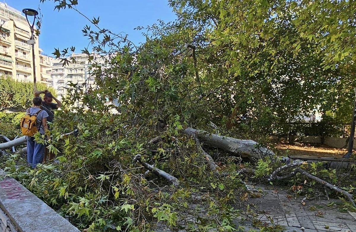 Θεσσαλονίκη: Δέντρο έπεσε πάνω σε άντρα στο κέντρο της πόλης