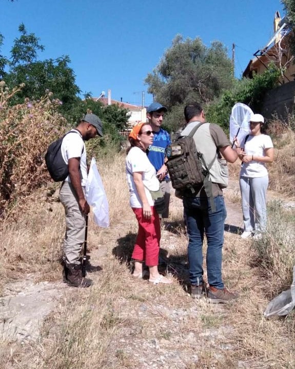 Πόσες διαφορετικές πεταλούδες πετούν γύρω μας;