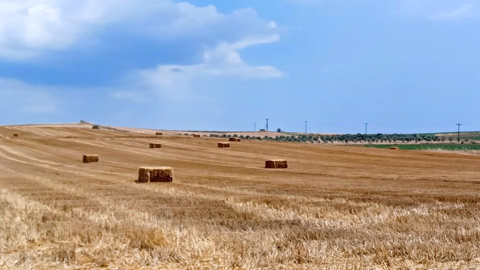 Δήμος Κομοτηνής: Επεκτείνεται η απαγόρευση χρήσης πυρός μέχρι τις 15 Νοεμβρίου