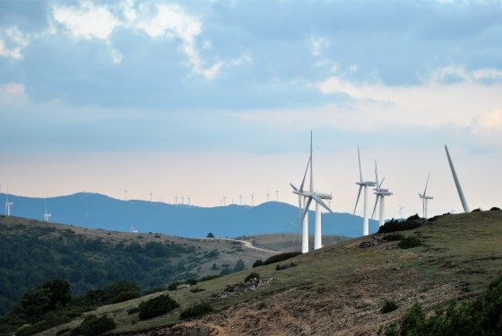 Κοινή ανακοίνωση 9 περιβαλλοντικών οργανώσεων:  “Ο υπουργός καθυστερεί αδικαιολόγητα να προστατεύσει τις πυρόπληκτες περιοχές σε Έβρο και Ροδόπη από νέους αιολικούς σταθμούς!”