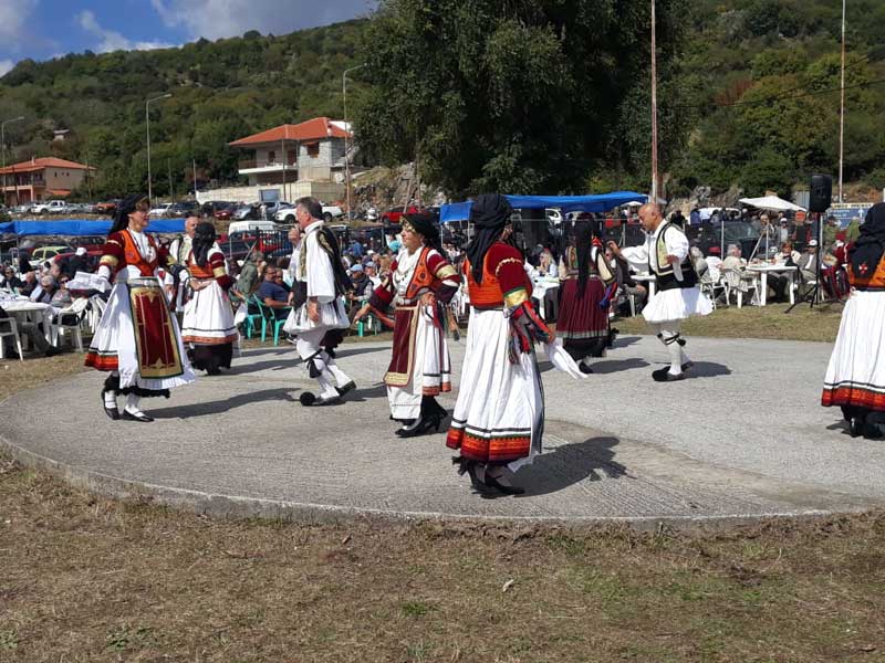 Νέο κρούσμα  ευλογιάς των προβάτων «ακυρώνει» τη γιορτή κτηνοτροφίας στον Πλαταμώνα του Δήμου Νέστου